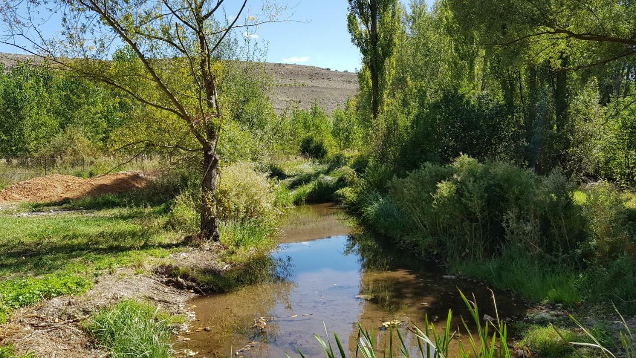 Casa Rural Los Yeros Aldeasona - Segovia Buitenkant foto